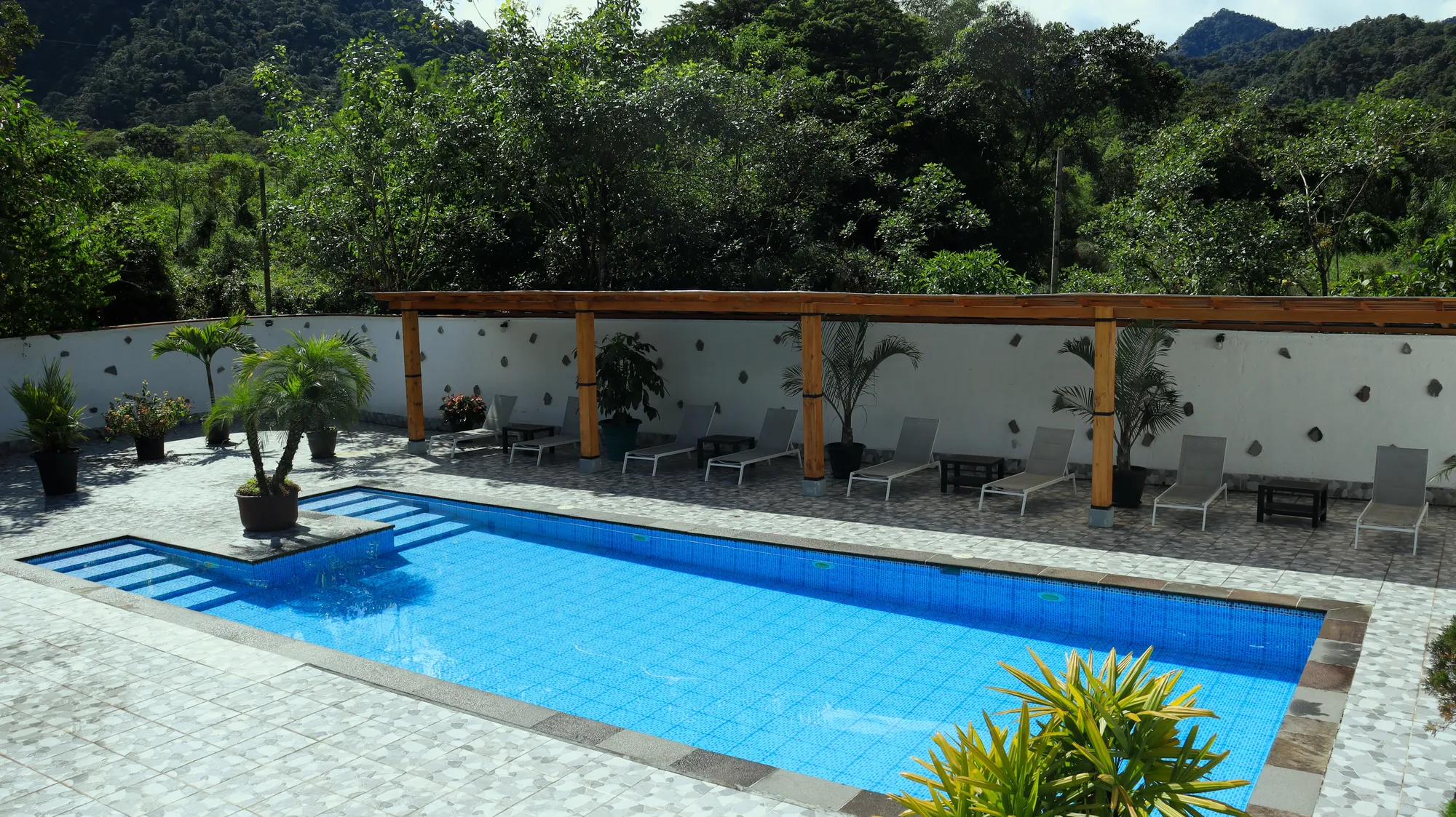 Gardens, pool and forest